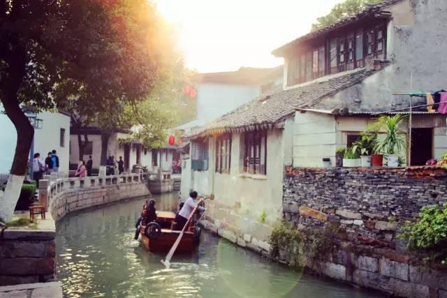 尽在面条能做成什么好吃的,探索最新58问答交流平台
